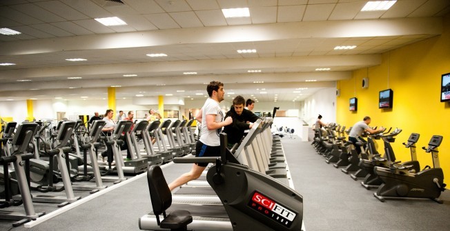 Gym Equipment Manufacturers in Limavady