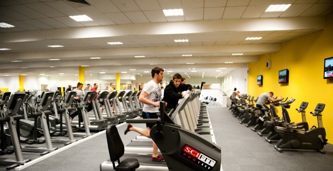 Where to Buy a Treadmill in Bower Ashton